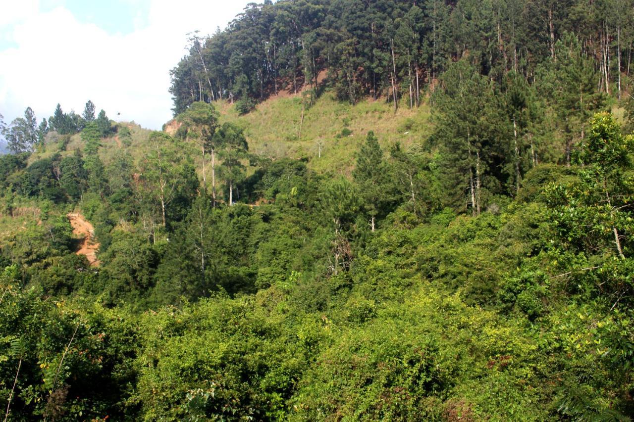 Green Paradise Ella Bagian luar foto