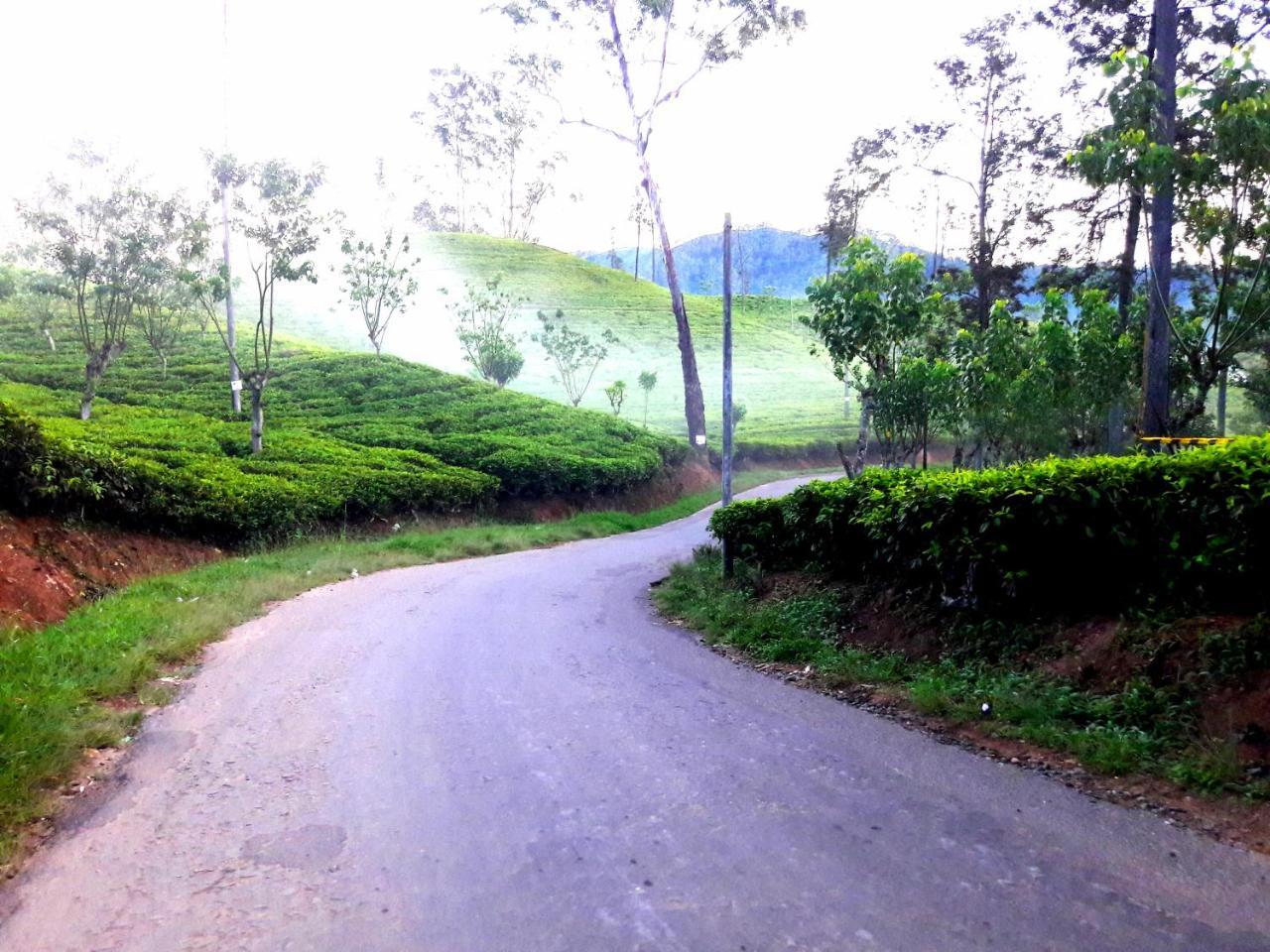 Green Paradise Ella Bagian luar foto